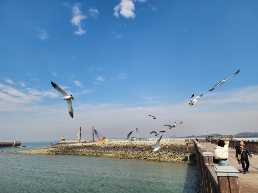 카카오스토리_2026_03_22 21_40_36.jpg