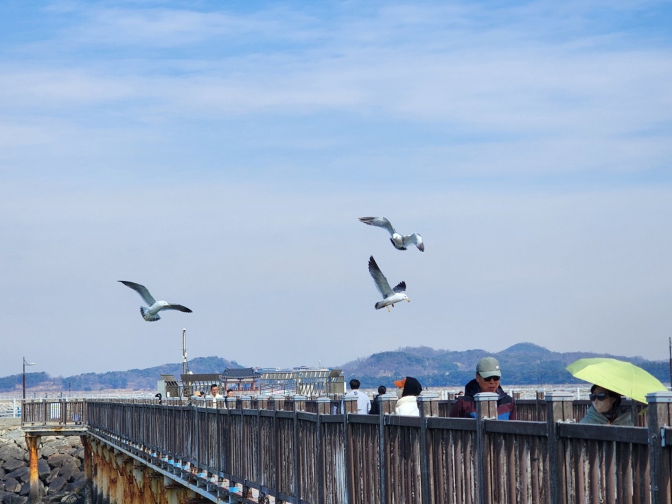 카카오스토리_2026_03_22 21_40_41.jpg