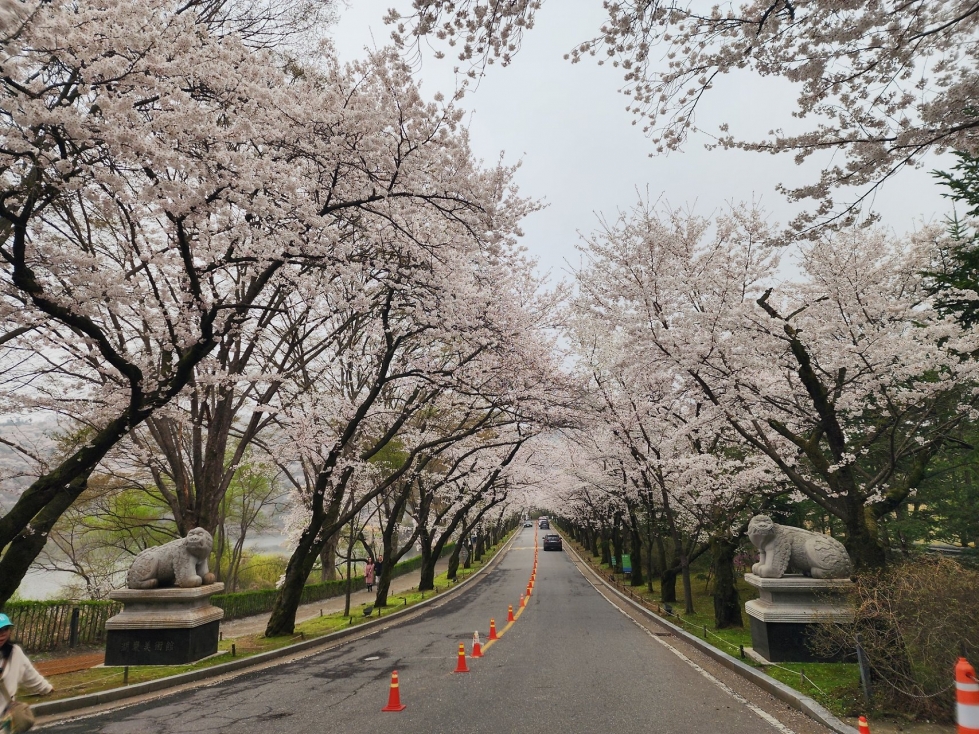 카카오스토리_2026_04_13 09_23_06.jpg