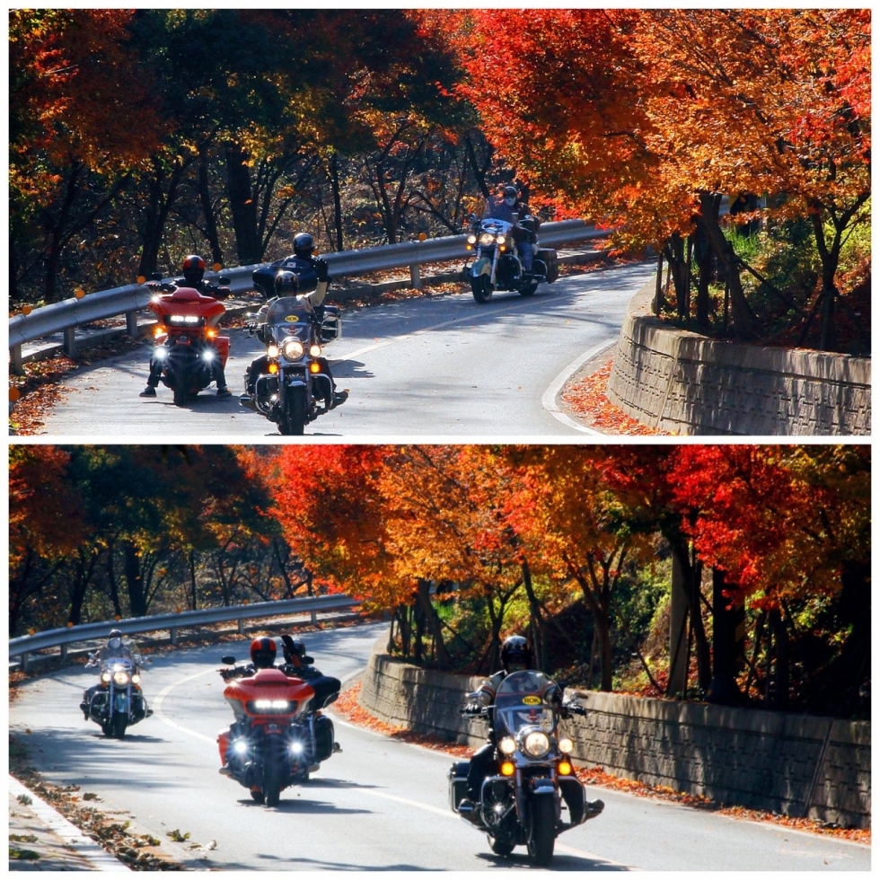 카카오스토리_2025_11_18 09_49_38.jpg